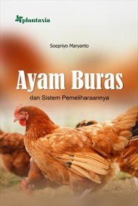 Image of Ayam Buras dan Sistem Pemeliharaannya
