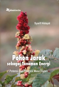 Image of Pohon Jarak sebagai Tanaman Energi