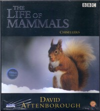 Image of VCD - THE LIFE OF MAMMALS: CHISELLERS