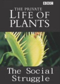 Image of VCD - THE PRIVATE LIFE OF PLANTS: THE SOCIAL STRUGGLE