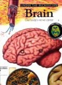 Image of Brain Our Body's Nerve Center