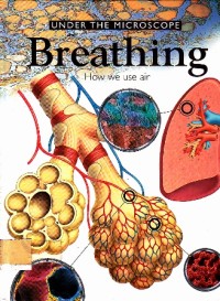 Image of Breathing How we use air 