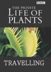 Image of VCD - THE LIFE OF PLANTS: TRAVELLING